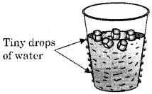 Unseen Passage for Class 7 CBSE With Answers 5