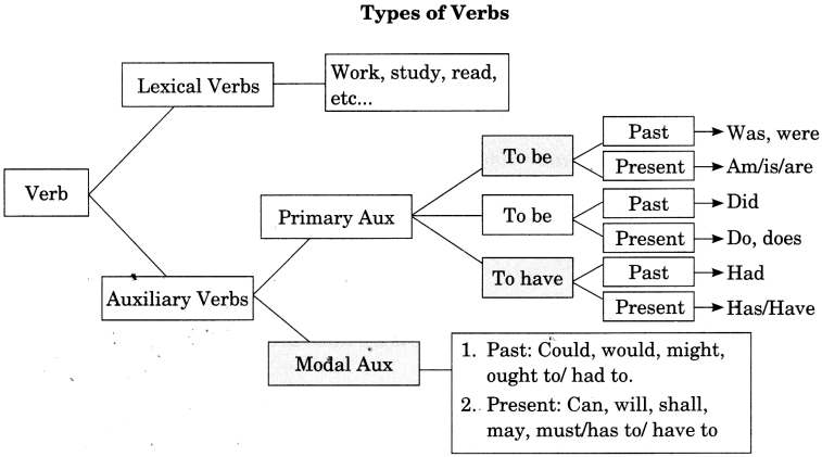 Subject Verb Agreement Exercises for Class 6 CBSE With Answers 2