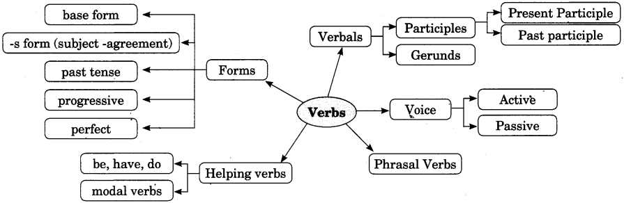 Subject Verb Agreement Exercises for Class 7 CBSE With Answers