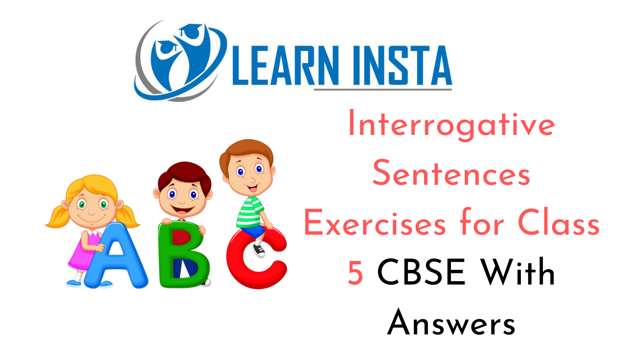 Interrogative Sentences Exercise For Class 5 CBSE With Answers