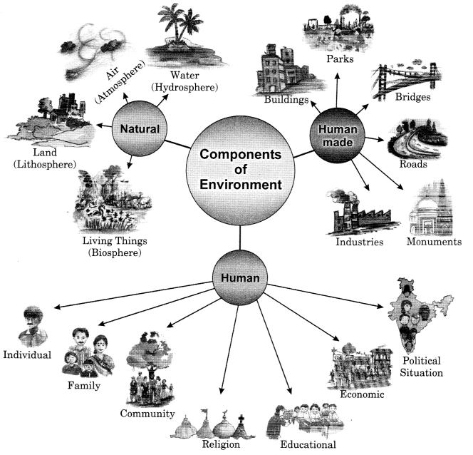 Class 7 Geography Chapter 1 Extra Questions and Answers Environment 1