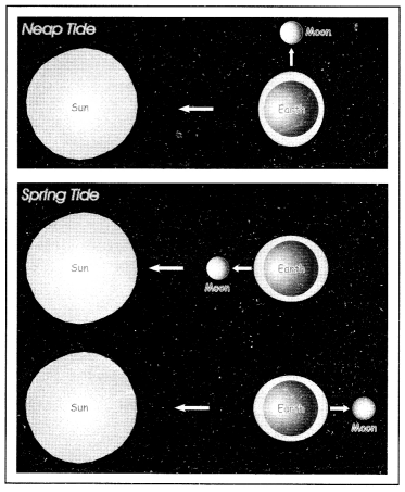 Class 7 Geography Chapter 5 Extra Questions and Answers Water