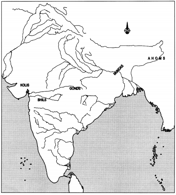 Class 7 History Chapter 7 Extra Questions and Answers Tribes, Nomads and Settled Communities