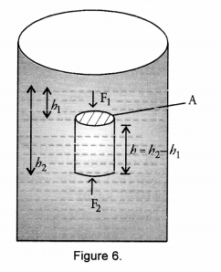 Floatation Class 9 Important Questions Science Chapter 16 image - 9