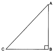 Introduction to Trigonometry Class 10 Extra Questions Maths Chapter 8 with Solutions Answers 56