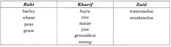 MCQ Questions for Class 10 Geography Chapter 4 Agriculture with Answers 1