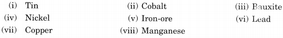 MCQ Questions for Class 10 Geography Chapter 5 Minerals and Energy Resources with Answers 1