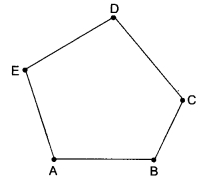 MCQ Questions for Class 6 Maths Chapter 4 Basic Geometrical Ideas with Answers 2