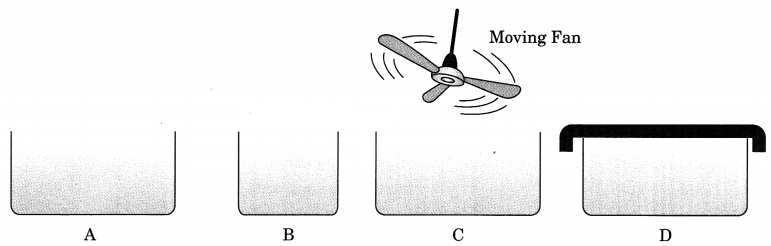 Matter in Our Surroundings Class 9 Extra Questions and Answers Science Chapter 1 img 5