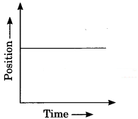 Motion Class 9 Extra Questions and Answers Science Chapter 8 img 15