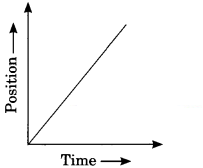 Motion Class 9 Extra Questions and Answers Science Chapter 8 img 16