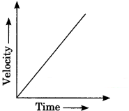 Motion Class 9 Extra Questions and Answers Science Chapter 8 img 19