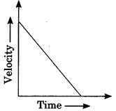 Motion Class 9 Extra Questions and Answers Science Chapter 8 img 20