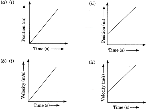 Motion Class 9 Extra Questions and Answers Science Chapter 8 img 21