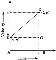 Motion Class 9 Extra Questions and Answers Science Chapter 8 img 26