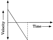 Motion Class 9 Extra Questions and Answers Science Chapter 8 img 8