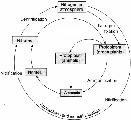 Natural Resources Class 9 Extra Questions and Answers Science Chapter 14 img 2