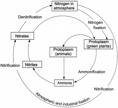 Natural Resources Class 9 Extra Questions and Answers Science Chapter 14 img 5