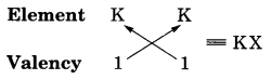 Periodic Classification of Elements Class 10 Extra Questions with Answers Science Chapter 5, 1