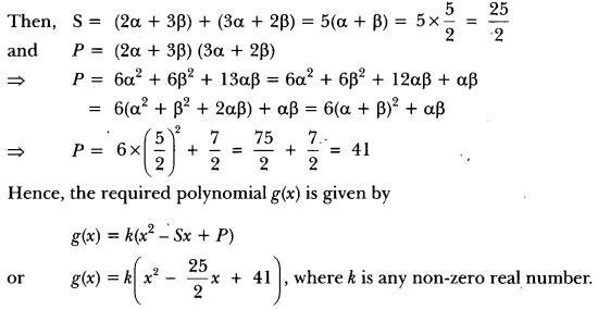 Polynomials Class 10 Extra Questions Maths Chapter 2 with Solutions Answers 13