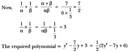 Polynomials Class 10 Extra Questions Maths Chapter 2 with Solutions Answers 17