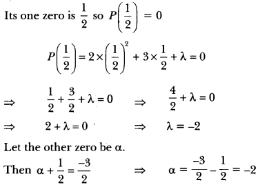 Polynomials Class 10 Extra Questions Maths Chapter 2 with Solutions Answers 19