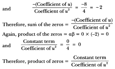 Polynomials Class 10 Extra Questions Maths Chapter 2 with Solutions Answers 9