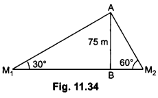 Some Applications of Trigonometry Class 10 Extra Questions Maths Chapter 9 with Solutions Answers 26