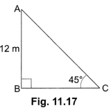 Some Applications of Trigonometry Class 10 Extra Questions Maths Chapter 9 with Solutions Answers 3