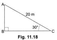 Some Applications of Trigonometry Class 10 Extra Questions Maths Chapter 9 with Solutions Answers 4