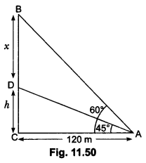 Some Applications of Trigonometry Class 10 Extra Questions Maths Chapter 9 with Solutions Answers 47