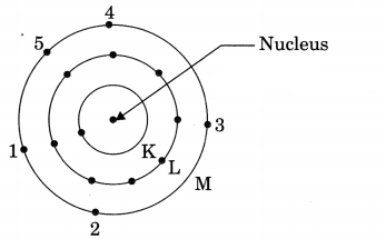 Structure of the Atom Class 9 Extra Questions and Answers Science Chapter 4 img 2