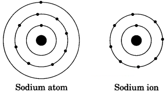 Structure of the Atom Class 9 Extra Questions and Answers Science Chapter 4 img 4