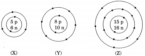 Structure of the Atom Class 9 Extra Questions and Answers Science Chapter 4 img 8