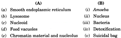 The Fundamental Unit of Life Class 9 Extra Questions and Answers Science Chapter 5 5