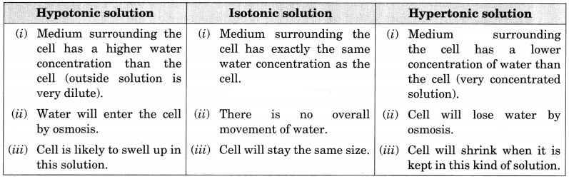 The Fundamental Unit of Life Class 9 Extra Questions and Answers Science Chapter 5 7