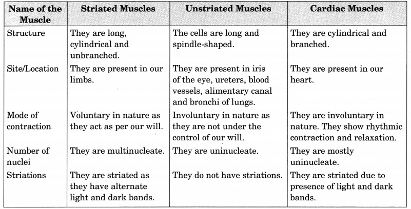 Tissues Class 9 Extra Questions and Answers Science Chapter 6 12