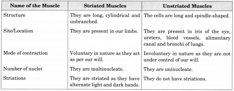 Tissues Class 9 Extra Questions and Answers Science Chapter 6 6