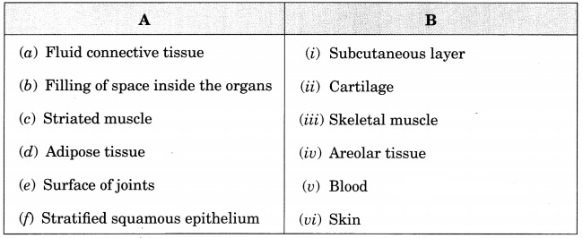 Tissues Class 9 Extra Questions and Answers Science Chapter 6 8