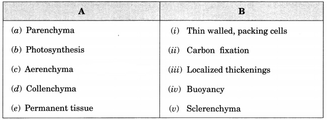 Tissues Class 9 Extra Questions and Answers Science Chapter 6 9