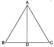 Triangles Class 10 Extra Questions Maths Chapter 6 with Solutions Answers 57