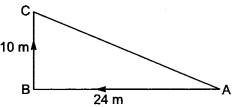 Triangles Class 10 Extra Questions Maths Chapter 6 with Solutions Answers 9