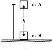 Work, Power And Energy Class 9 Extra Questions and Answers Science Chapter 11 img 13