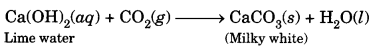 Acids Bases and Salts Class 10 Notes Science Chapter 2 2