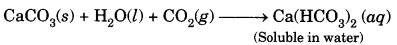 Acids Bases and Salts Class 10 Notes Science Chapter 2 3