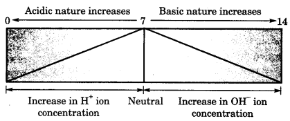 Acids Bases and Salts Class 10 Notes Science Chapter 2 5