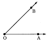 Basic Geometrical Ideas Class 6 Notes Maths Chapter 4.11