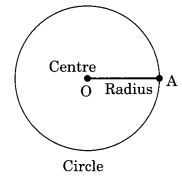 Basic Geometrical Ideas Class 6 Notes Maths Chapter 4.14