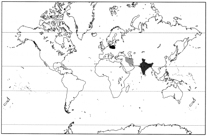 Class 6 History Chapter 1 Extra Questions and Answers What, Where, How and When 1