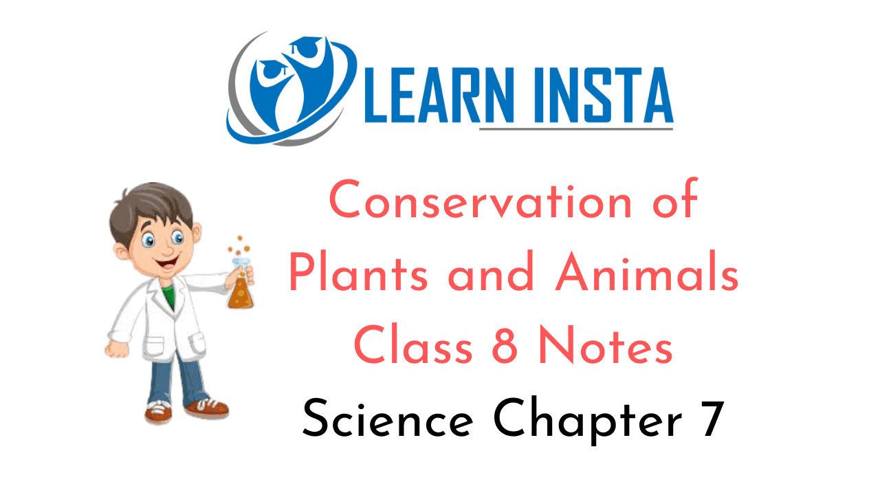 Conservation of Plants and Animals Class 8 Notes Science Chapter 7
